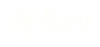 olliexe